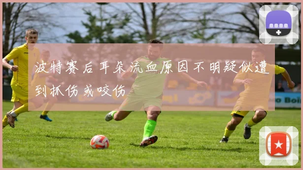 波特赛后耳朵流血原因不明疑似遭到抓伤或咬伤